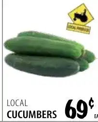 Karns Local cucumbers offer
