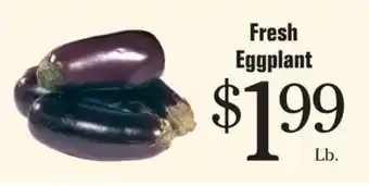Fresh Eggplant
