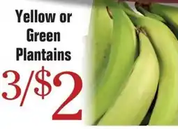 Morton Williams Yellow or Green Plantains offer