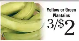 Morton Williams Yellow or Green Plantains offer