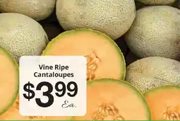 Hays Supermarket Vine Ripe Cantaloupes offer