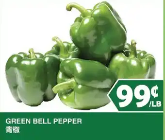 Green Bell Pepper