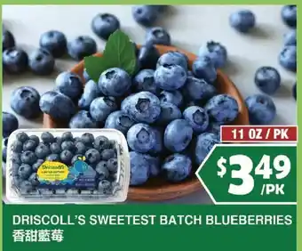 Driscoll's sweetest batch blueberries