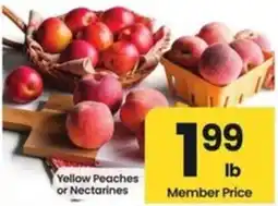 Safeway Yellow Peaches or Nectarines offer