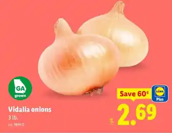 Lidl Plus Vidalia onions