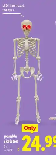 Lidl Posable skeleton offer