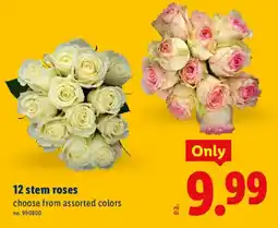 Lidl 12 stem roses offer