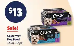 Family Dollar Cesar Wet Dog Food offer