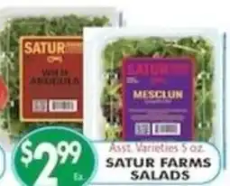 Pioneer Supermarkets Satur Farms salads offer