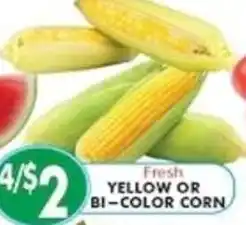 Pioneer Supermarkets Fresh yellow or bi-color corn offer