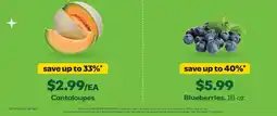 Grocery Outlet Cantaloupes offer