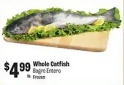 Food City Whole Catfish offer