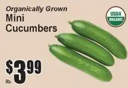 Super Fresh Organically Grown Mini Cucumbers offer