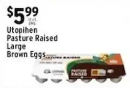 Met Foodmarkets Utopihen pasture raised large brown eggs offer