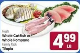 Tony’s Fresh Market Fresh Whole Catfish or Whole Pompano Family Pack Tilapia offer