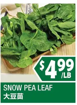 99 Ranch Snow Pea Leaf offer