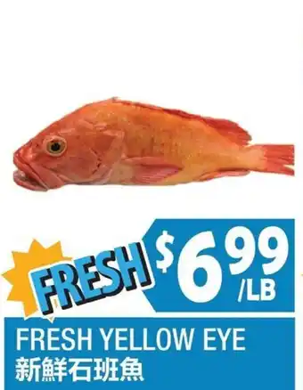 Fresh Yellow Eye