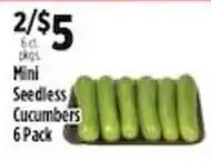 Pioneer Supermarkets Mini Seedless Cucumbers offer