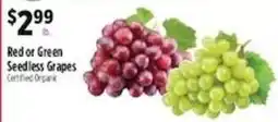 Pioneer Supermarkets Red or Green Seedless Grapes offer