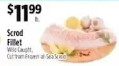 Pioneer Supermarkets Scrod Fillet offer