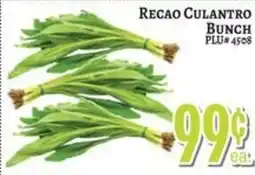 Trade Fair Supermarket Recao Culantro Bunch offer