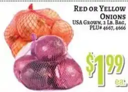 Trade Fair Supermarket Red or Yellow Onions offer