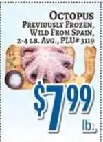 Trade Fair Supermarket Octopus offer