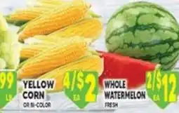 Associated Yellow Corn or Bi-Color offer