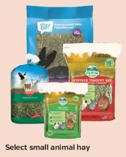 Pet Supplies Plus Select small animal hay offer