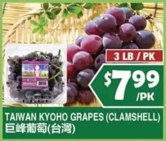Taiwan Kyoho Grapes