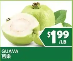 99 Ranch Guava offer