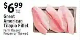 Met Foodmarkets Great American Tilapia Fillet offer