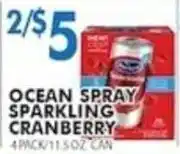 Associated Ocean Spray sparkling cranberry offer