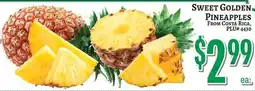 Trade Fair Supermarket Sweet Golden Pineapples offer