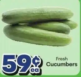 Fresh Cucumbers