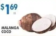 Associated Malanga Coco offer