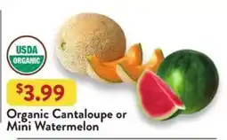 Fresh Thyme Organic Cantaloupe or Mini Watermelon offer