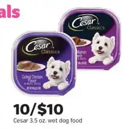 Pet Supplies Plus Cesar Classics wet dog food offer