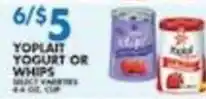 Associated Yoplait Yogurt or Whips offer