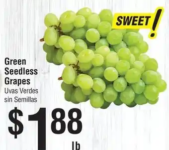 Green Seedless Grapes