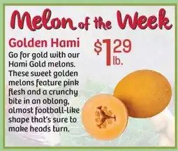 Maceys Golden Hami offer