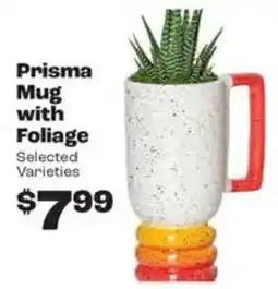 Rosauers Prisma Mug with Foliage offer