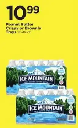Cub Foods Ice Mountain water offer