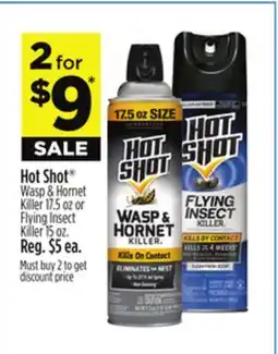 Dollar General Hot Shot Wasp & Hornet Killer 17.5 oz or Flying Insect Killer 15 oz offer