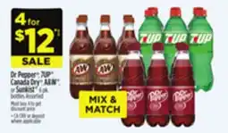 Dollar General Dr Pepper, 7UP , Canada Dry A&W or Sunkist 9 pk. bottles offer