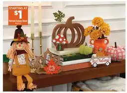 Dollar General Harvest Indoor Deco offer