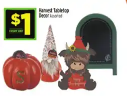 Dollar General Harvest Tabletop Decor offer