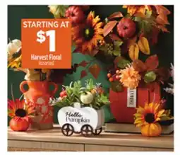 Dollar General Harvest Floral offer