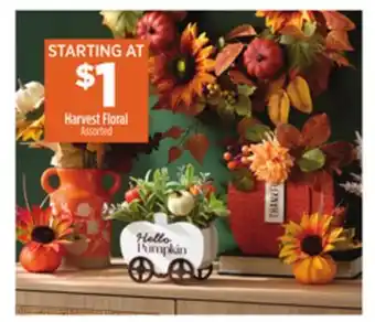 Dollar General Harvest Floral offer