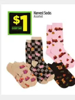 Dollar General Harvest Socks offer